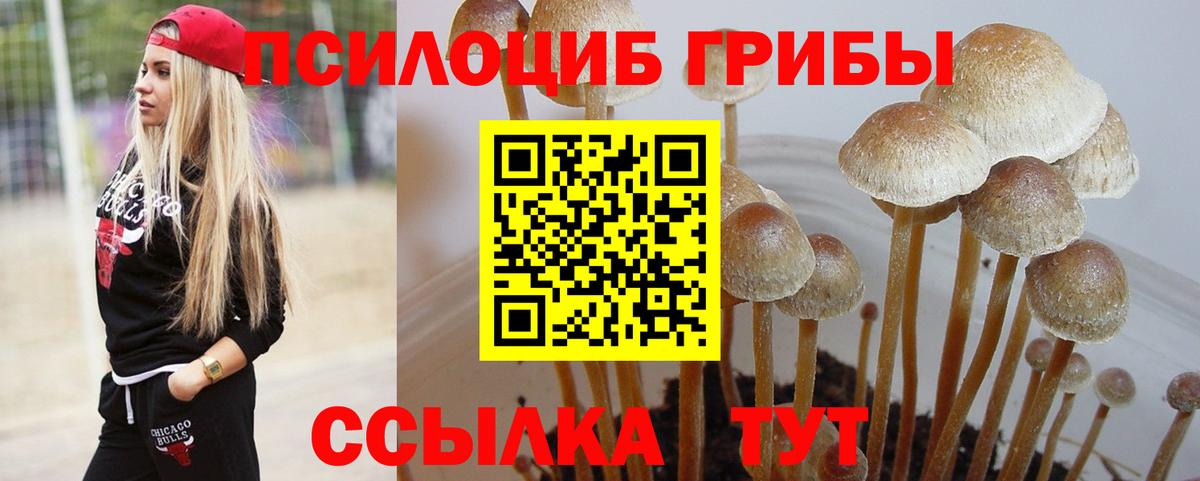 Урус-Мартан  Псилоцибиновые грибы Magic Shrooms  цена   Вход с VPN  Галлюциногенные грибы Cubensis 